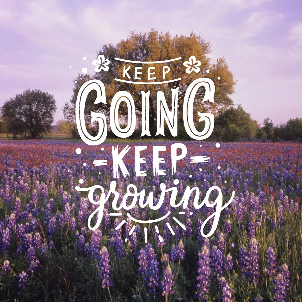 Let s keep it going. Keep going. keep on going. keep going keep growing. keep going обои.