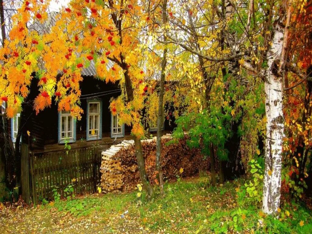 "пейзаж с кленом" харуки мураками. Сад осенний за сараем. Осенью весь дом засыпан листьями. Человек засыпаны листвой. Осень на реке в живописи.