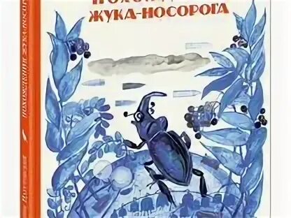 Похождение жука носорога слушать. Паустовский похождения жука носорога. Иллюстрация к сказке похождение жука носорога. Похождение жука носорога план. Похождения жука носорога со спичками.