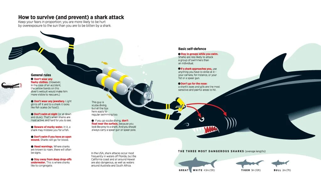 Найджел Холмс инфографика. Карта нападения акул. Диаграмма случаев нападения акул. Карта нападения акул в Египте.
