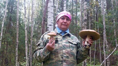 Грибники набережные