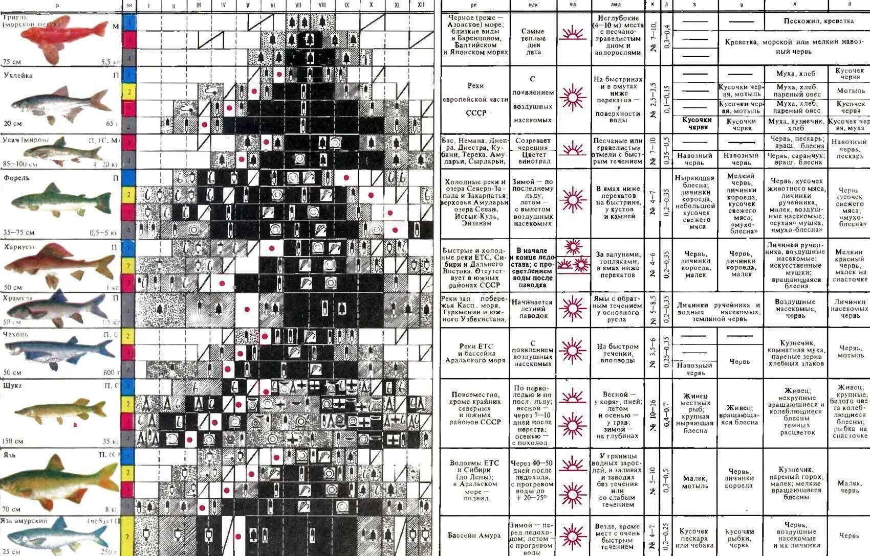 Когда начинать ловить щуку. При каком давлении клюет рыба. Таблица давления для рыбалки. Таблица нереста рыбы в Подмосковье. Давление для рыбалки зимой на окуня.