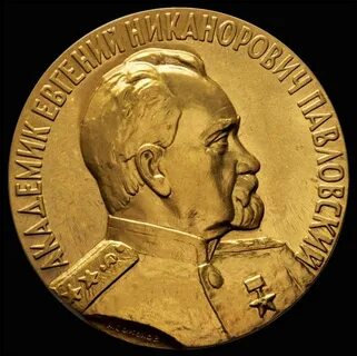 Биография павловского