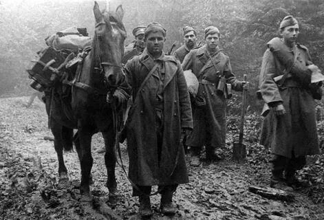 Восточно карпатская операция 1944