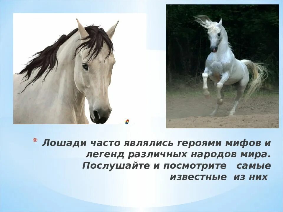 Легенды о животных 2 класс окружающий мир. Легенда о лошади. Мифы о лошадях. Легенды о лошадях для детей. Самые известные легенды.