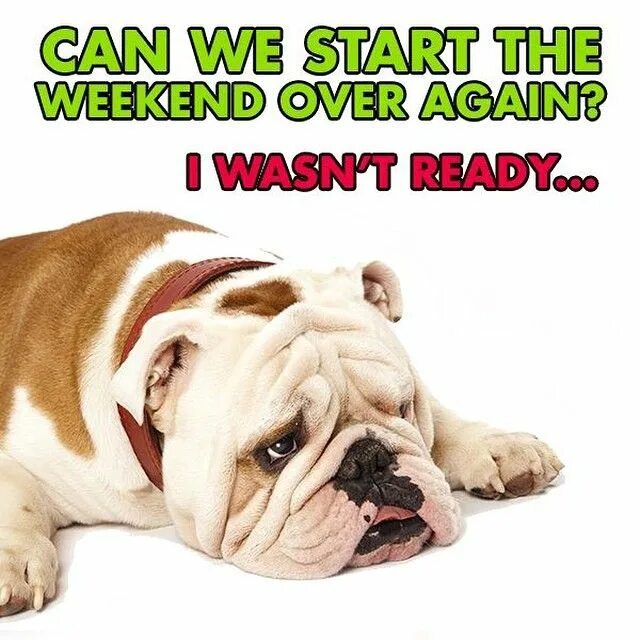 Over the week end