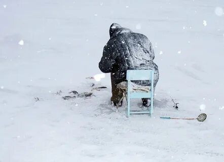 Метель рыбак