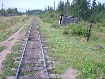 Погода в удимском