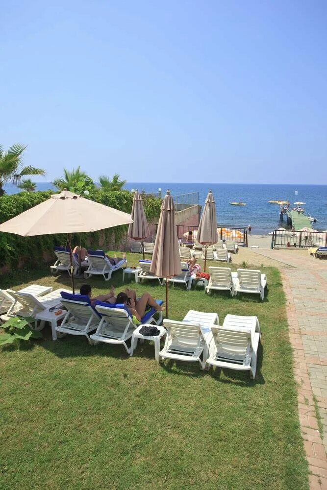 Teo beach hotel 3. Eva beach hotel 3. holiday line beach hotel (ex.vital beach hotel)     . solis beach hotel 3 аланья.