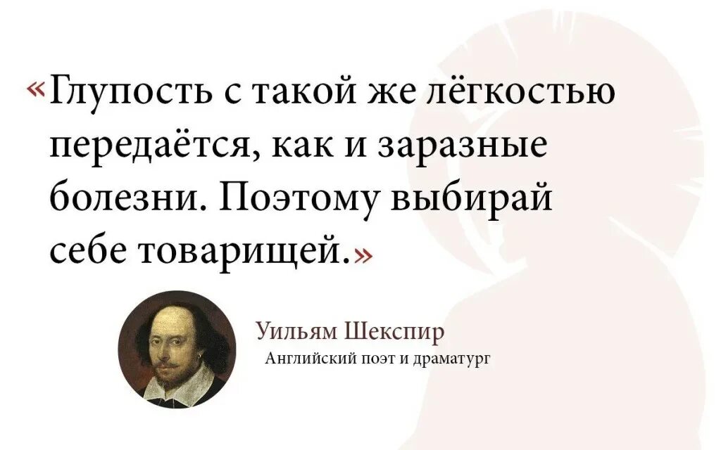 Глупый через. Глупые афоризмы. Высказывания о глупых людях. Цитаты про глупых людей. Афоризмы про глупых людей.