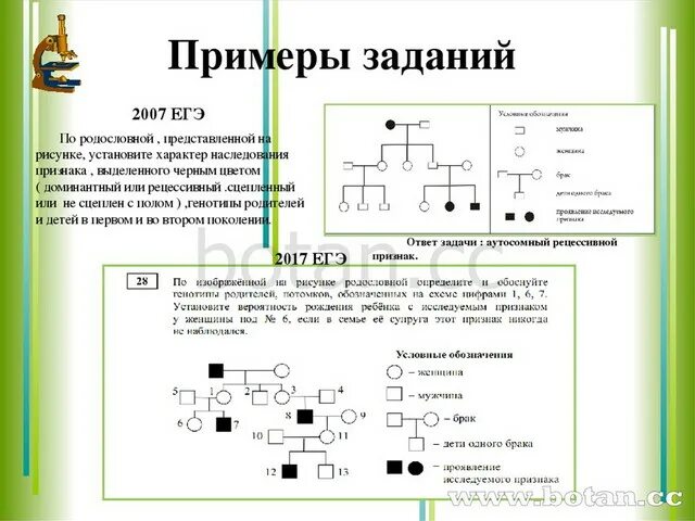 Биология задание 2 теория. Решение задач по биологии рецессивные. 6 Задание ЕГЭ биология. Родословные ЕГЭ по биологии. Схема задачи по биологии.