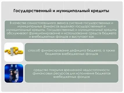 Виды государственных и муниципальных денежных фондов
