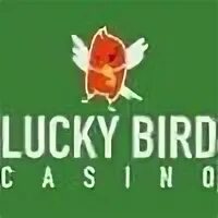 Lucky bird casino luckybird casino net ru. Lucky Bird куртки. Lucky Bird стажировка. Lucky Bird куртки женские.