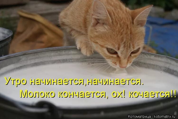 зюзю это как кошка. идите на рыбалку ленин. шел хозяин. иди сюда поговорим. хозяин, отпусти домой.