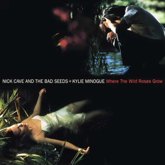 Nick cave wild rose. Ник Кейв Кайли Миноуг Wild Roses. Where the Wild Roses grow Nick Cave and the Bad Seeds. Ник Кейв where the Wild Roses grow.