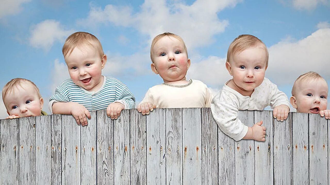 Включи много жизней. Baby Five. Baby behind. Babies playing in the Fence.