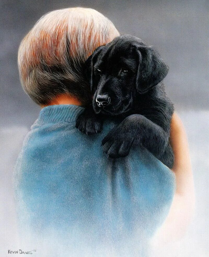 Собаки художника daniel kevin hemming. Выставка елены карнеевой. Доброта она с детства. Красивые добрые люди. Добрая девочка.