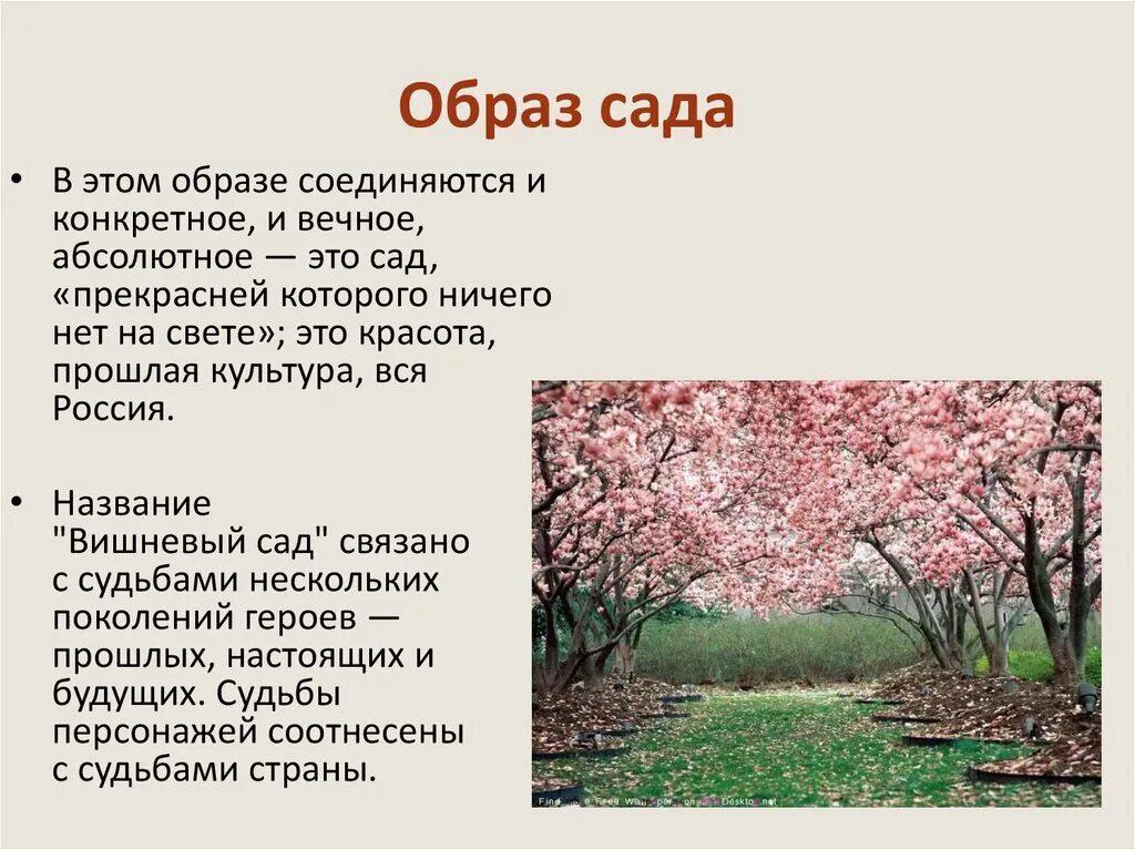 Каково будущее россии в пьесе вишневый сад. Сюжет пьесы вишневый сад. Образ вишневого сада. Вишневый сад название. Образ сада.