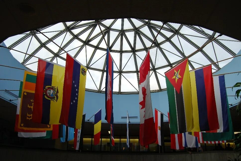 Whose flags are