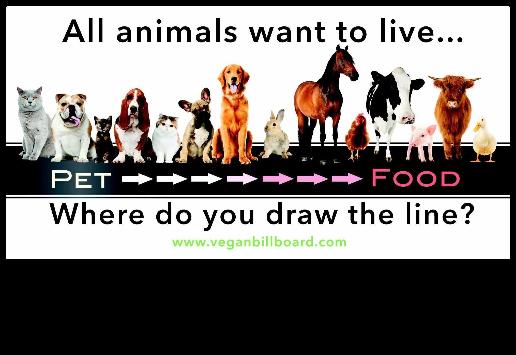 Talking about where you live. All animals want to Live where do you draw the line. Where do you Live. All animals want to Live.