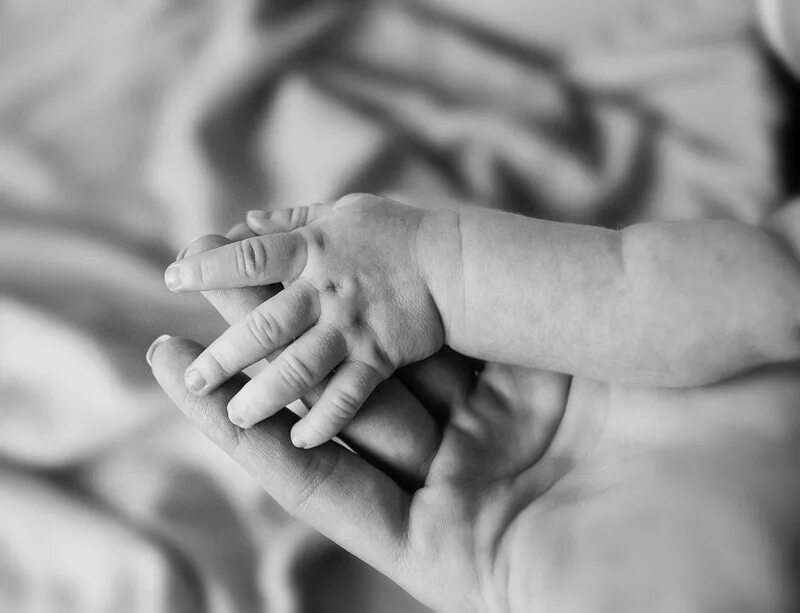 сочетание мамины руки. мамина любовь. руки пожилой матери на дочери. пытько н. сочетание мамины руки.