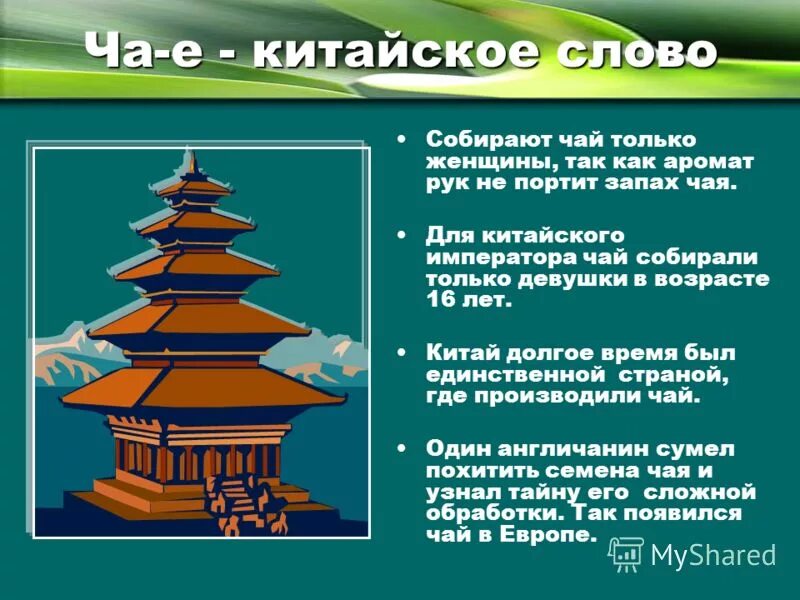 сложные слова чай