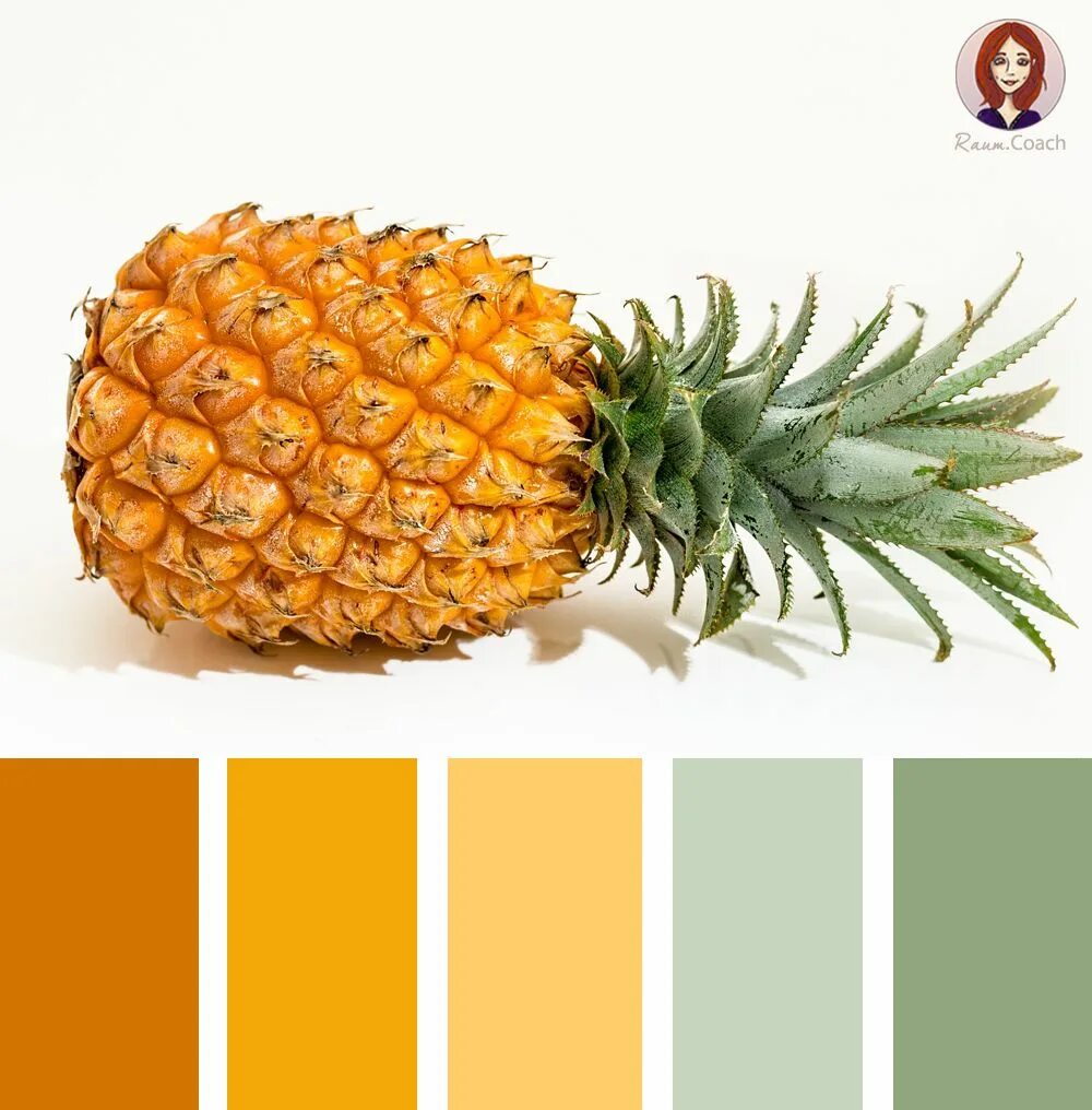 Ананас интересные факты. Палитра цвета ананас. Салат с ананасом. Яркие цветовые сочетания. Фудпейринг ананас.