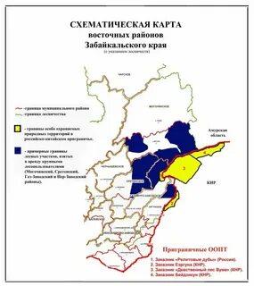 Кто победил в забайкальском крае
