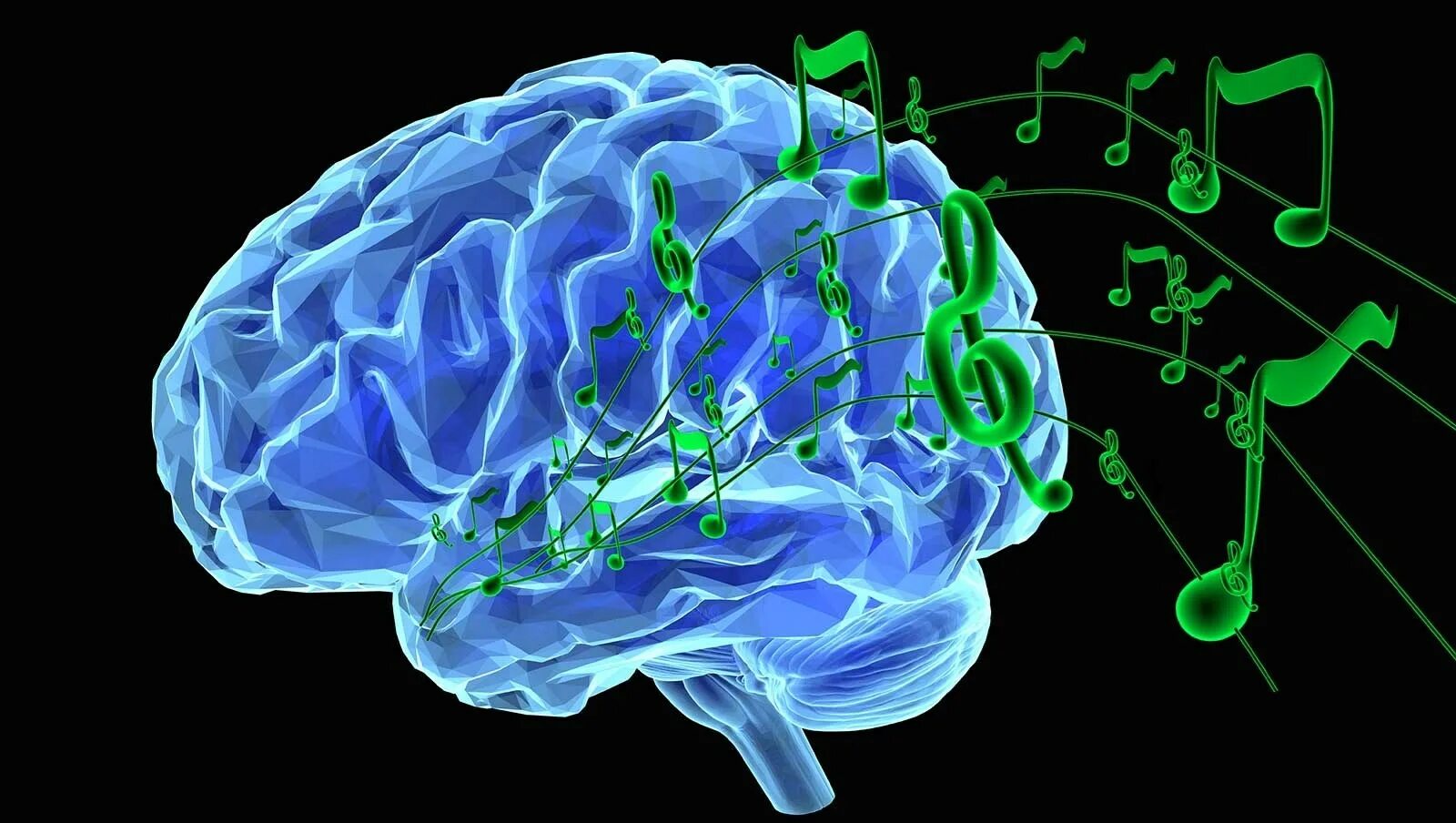 Brain scientist. Изображение мозга. Головной мозг.