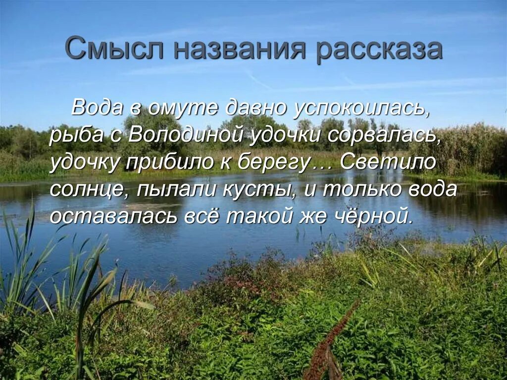 В чем смысл рассказа тихое утро