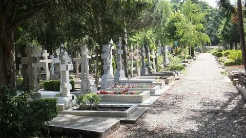 Женевьев де
