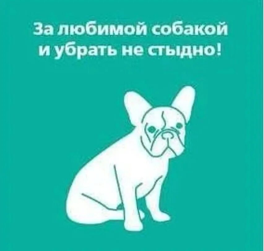 Уважаю хозяина. Убирать за собакой. Убери за собакой. Убирайте за собаками табличка. Плакат для владельцев собак.