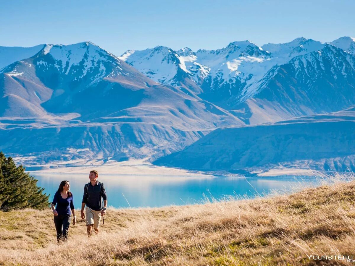 New zealand how people live. Новозеландия. Долина Парадайз новая Зеландия. Новая Зеландия путешествие. Новая Зеландия туризм.