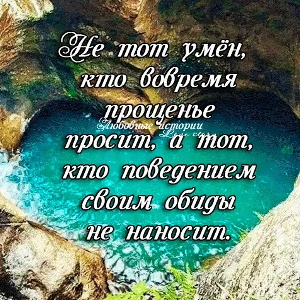 Понятия прощение нужно ли уметь просить прощения. Просить прощения цитаты. высказывания про извинения. мудрые высказывания о прощении обид. умейте просить прощение и прощать.