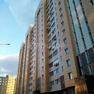 Щербинка садовая