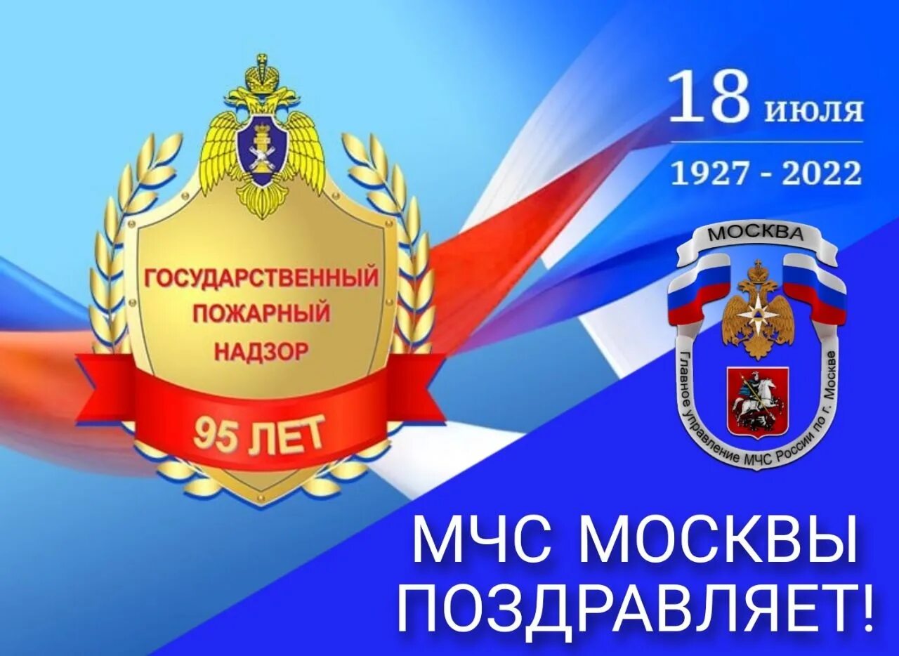 95 Лет ГПН. Государственный пожарный надзор. Государственный пожарный надзор эмблема. 95 Лет ГПН МЧС. Органами государственного пожарного надзора являются