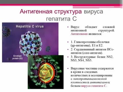 Ученый описавший вирусный гепатит