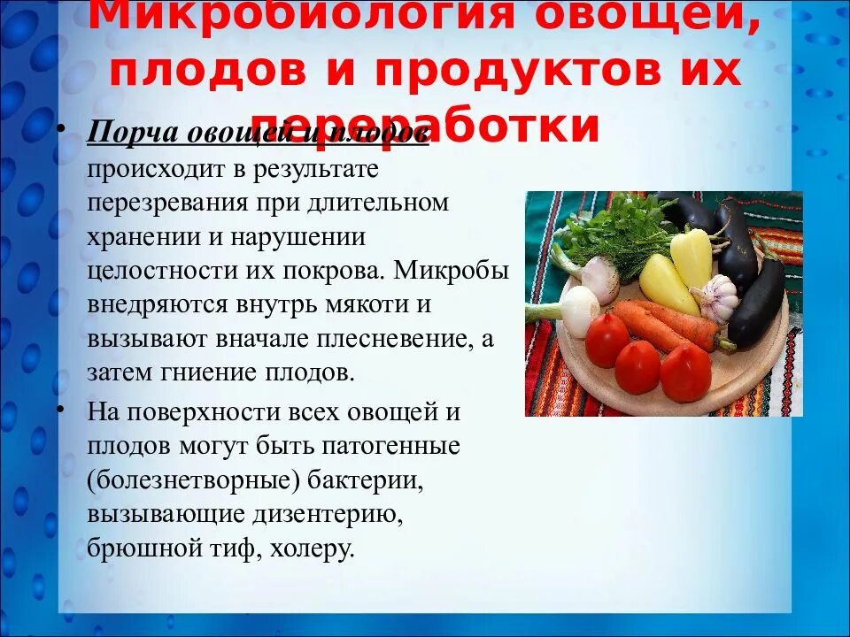 Микробиология плодов и овощей. Микробиология овощей плодов и продуктов их переработки. Микробиология овощей и плодов кратко. Микробиология и санитария пищевых продуктов. Комплексное использование плодов и овощей