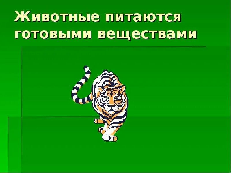 Как животные питаются 3 класс окружающий. Какие животные питаются готовыми веществами. Питание животных 6 класс биология. Доклад на тему питание животных. Обоснование способа питания животных.