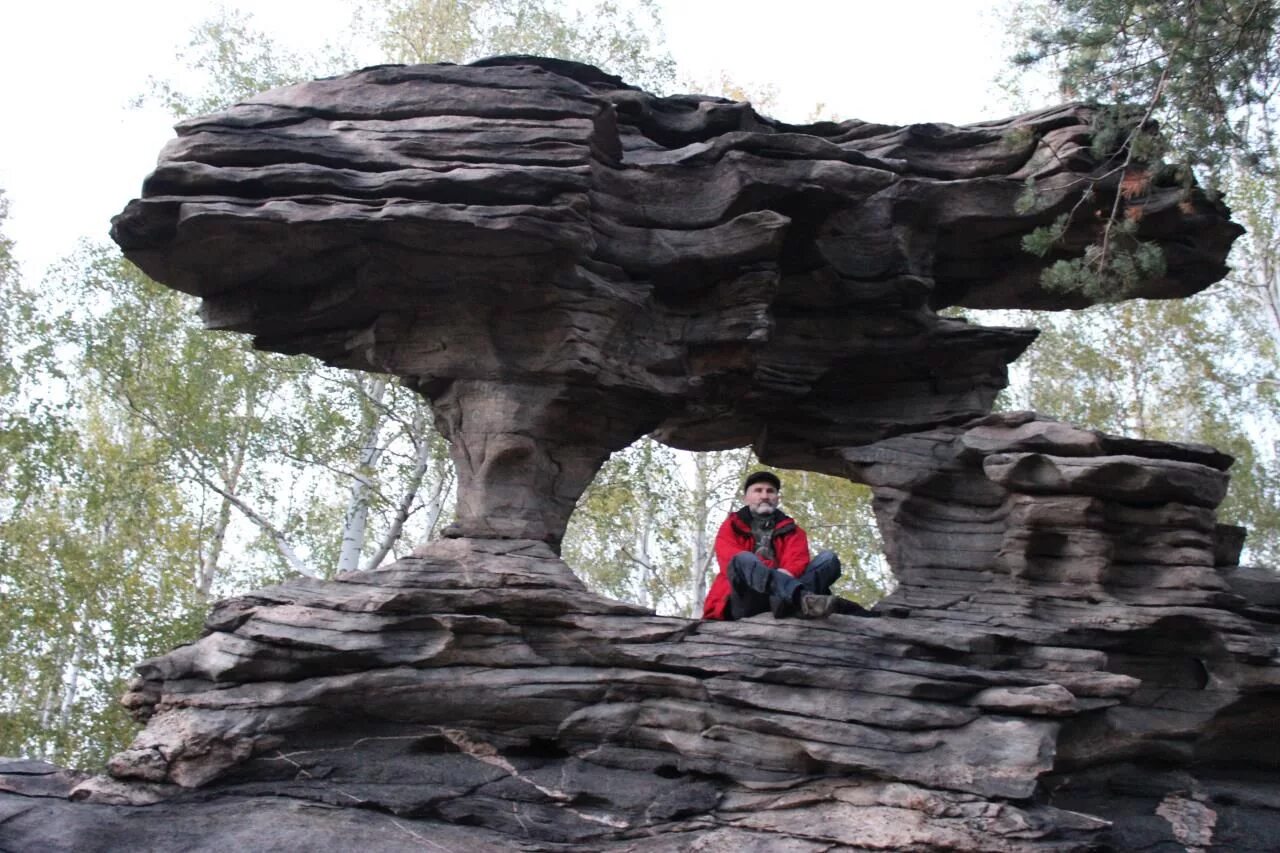 лосиха в челябинске. животные кыштым.