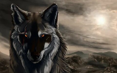 Wolf m8