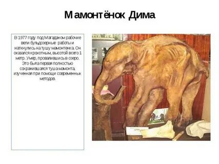 Фейковую картину пушкина