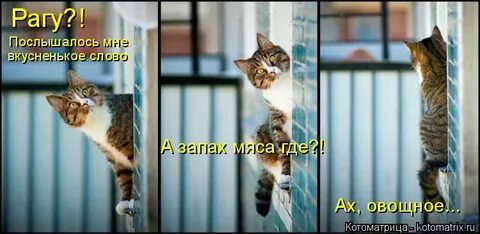 Выглядит устало