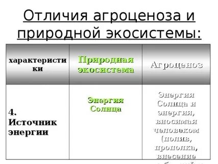 Источник энергии биогеоценоза