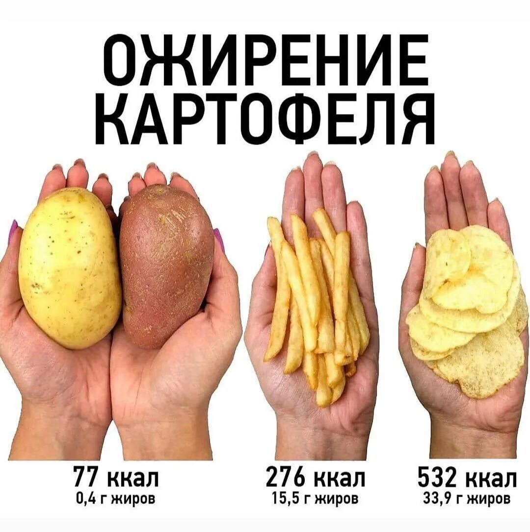 Картофель килокалорий