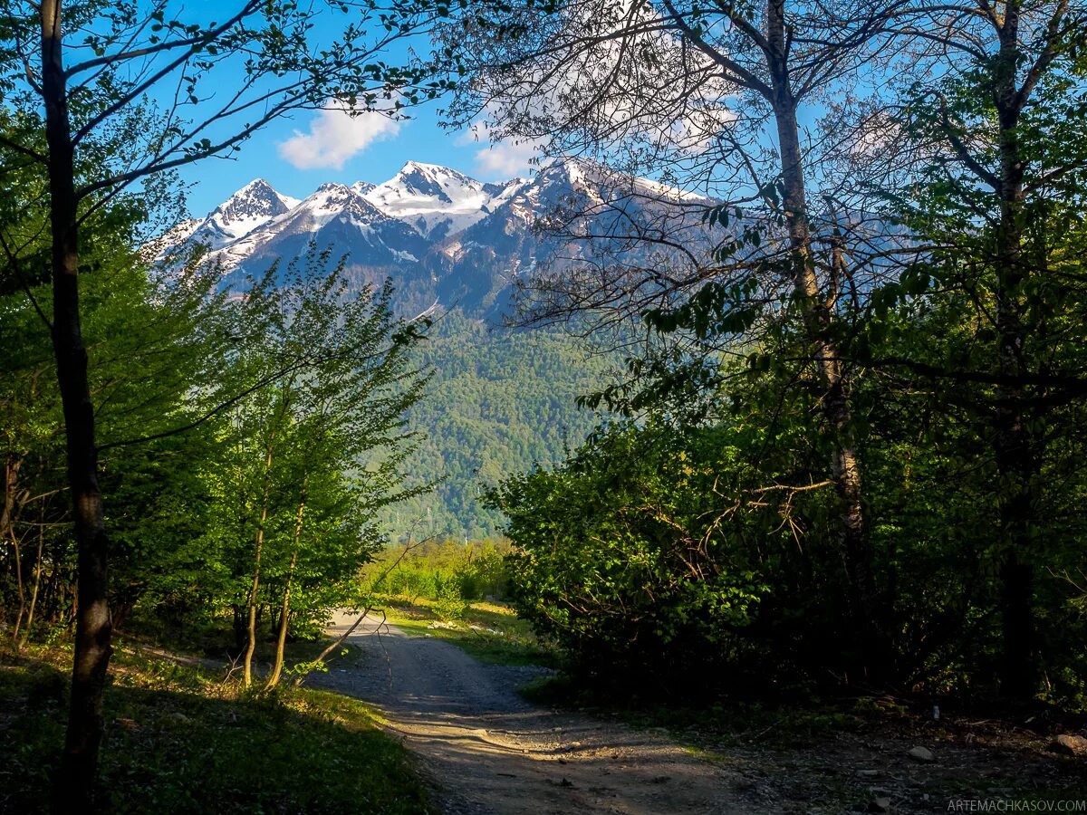 красная скала архыз. лесное красная поляна. забор красная поляна. горная дорога архыз красная поляна. боснийский лес красная поляна.
