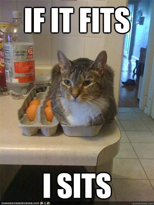 May i go out may i come in. вопросы со словом may. выражение may i come in. May i sit here. Can i sit here.