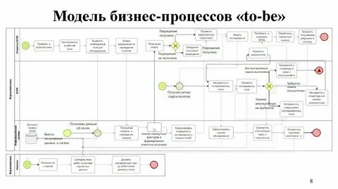 Приведите примеры процессов развития