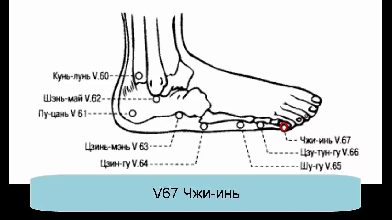 5 мая 5 00. Акупунктурная точка Кунь Лунь. Кунь Лунь точка акупунктуры. Точка v67 Чжи-Инь. V62 точка акупунктуры.