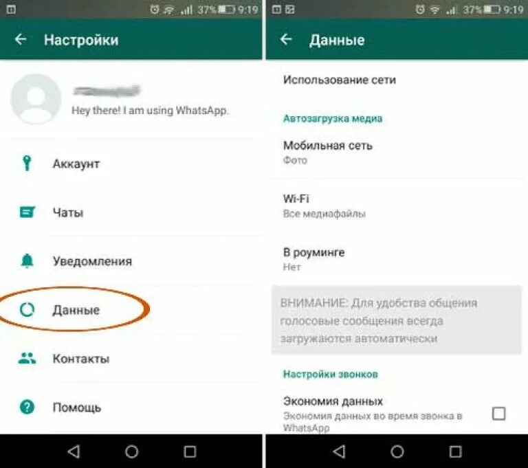Как прослушать голосовое сообщение в ватсапе незаметно. Голосовое в ватсапе. голосовые сообщения в ватсап. аудио сообщения в ватсапе. настройки голосовых сообщений whatsapp.